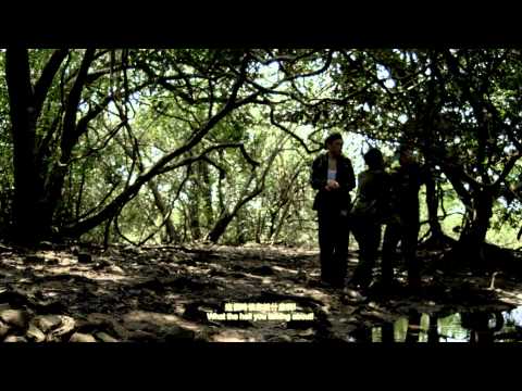 Freshwave 2012 鮮浪潮 － 競賽短片《魚．蝦．蟹》Trailer