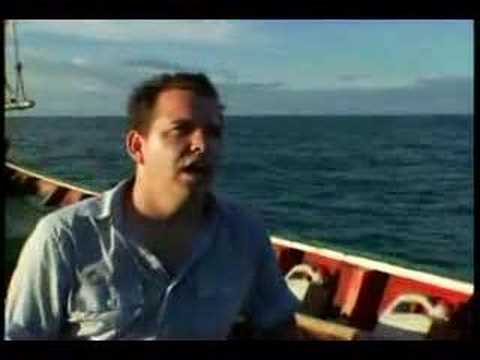 Last Stop For Paul (trailer)