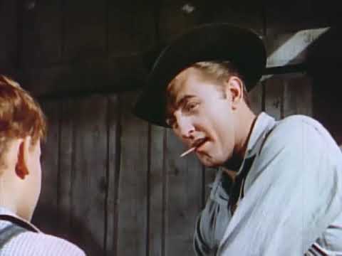 Red Pony Trailer