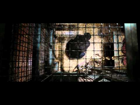 Official International Trailer