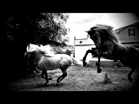 Horse of Kings, Thief of Hearts Videoclip
