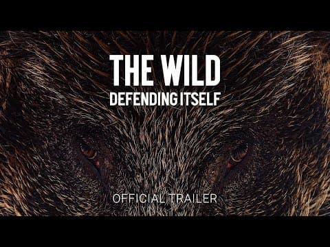 The Wild Defending Itself | Official Trailer