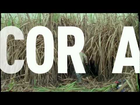 Corta - Trailer