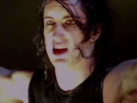 nin - self destruct 1994 (live)