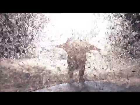 Slava's Snowshow - New Official Trailer [HD]