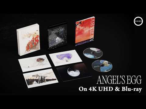 4K Collector's Edition First Look