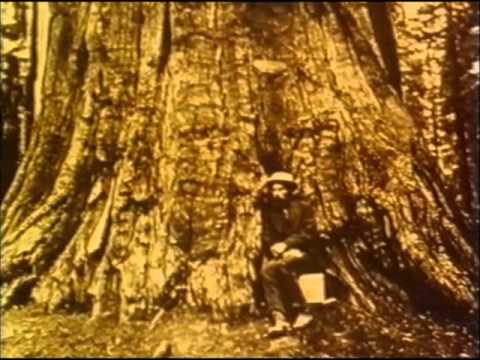Eadweard Muybridge, Zoopraxographer -- Marriage Story