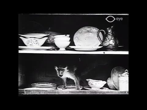 Le singe de Pétronille