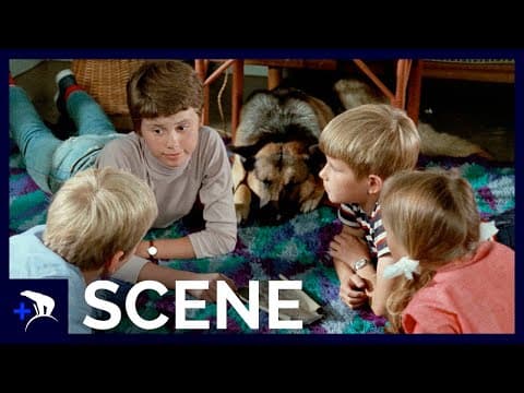 De 5 og spionerne (1969) - Ferietid