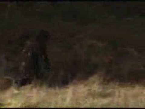 Ape Canyon trailer