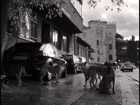 Filmmuseum-Trailer: "Faith" (Lav Diaz, 2024)