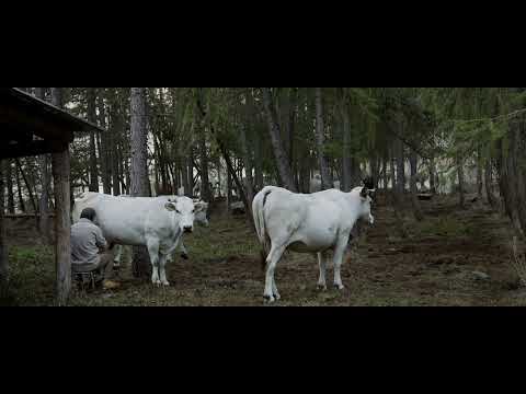 ALPENLAND - Trailer