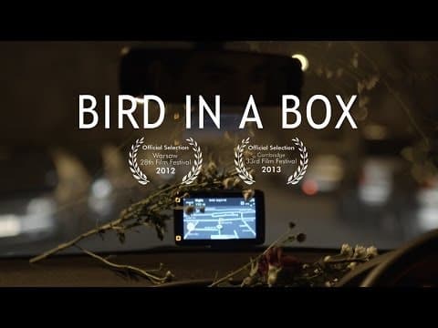 GPS comedy | Bird In A Box | short film rom-com | Brian d'Arcy James, Fiona Glascott