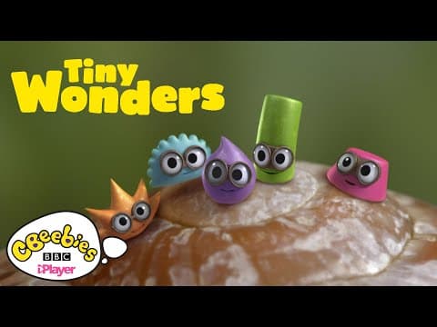 Tiny Wonders | Official Trailer | CBeebies