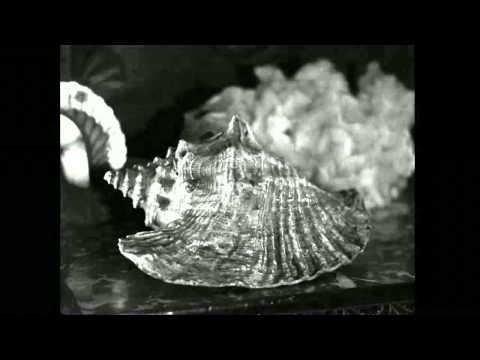 Le Tempestaire (Jean Epstein)