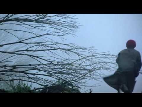 "Vigil" (Vincent Ward, 1984)