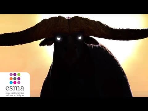 Official Teaser