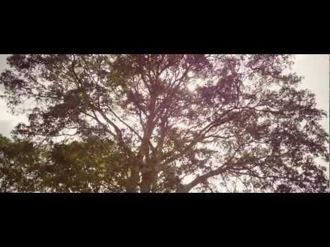 Something Necessary Official Trailer