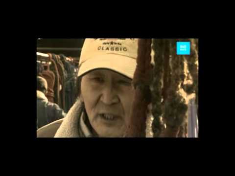 Хүрэлдэй их хааны элч / Khureldei ikh khaani elch