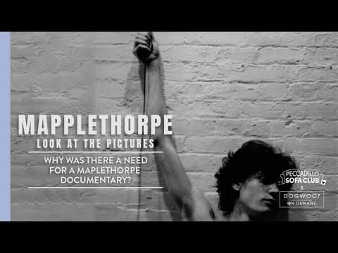 Why a Documentary?