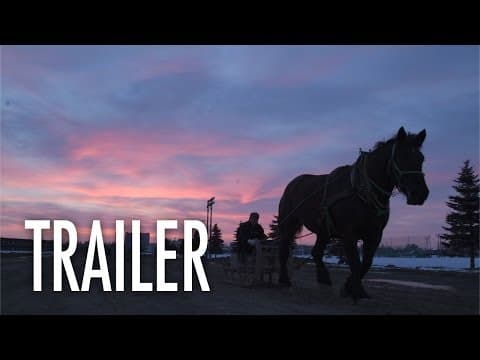 What the Snow Brings - OFFICIAL TRAILER - Japanese Drama