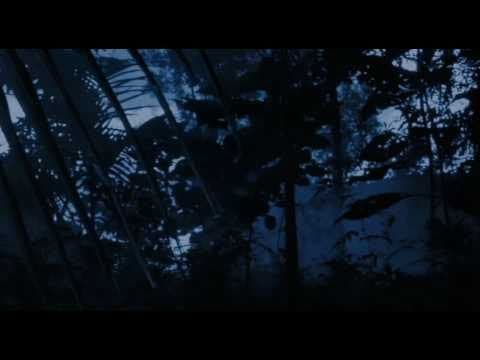 Cane Toads: The Conquest Official Trailer