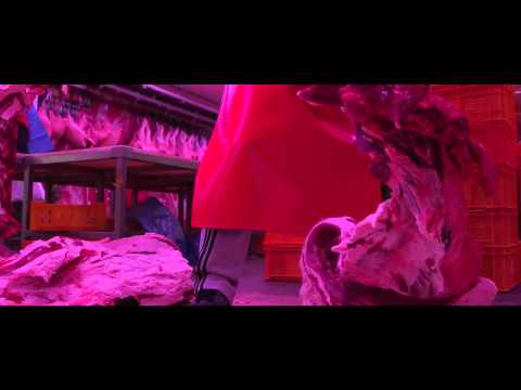 Factory Complex trailer (위로공단)