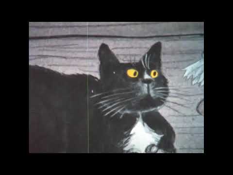 Cats story : The king of cats