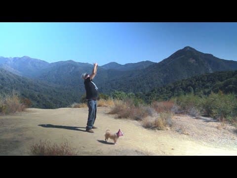 CURSE OF THE MAN WHO SEES UFOS Trailer