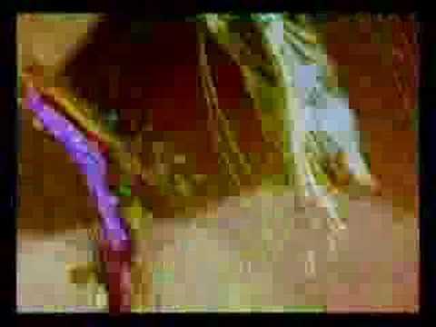 Stan Brakhage - Glaze of cathexis (1990)