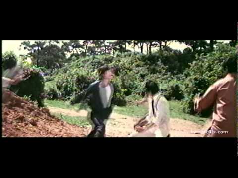 SHADOW OF THE DRAGON (WIDESCREEN)  RARE CHARLES HEUNG BASHER