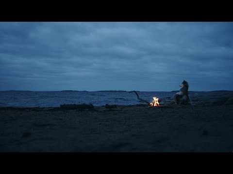 flying or falling - Be Here Soon e06/10