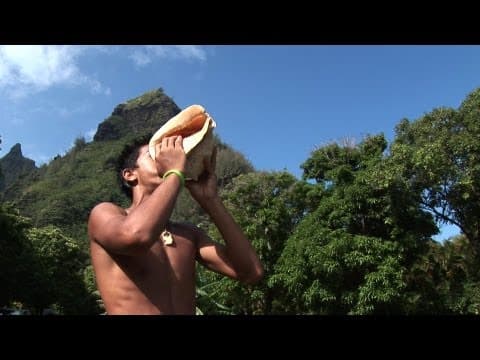 SEEDS OF HOPE TRAILER.m4v