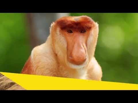 World's Weirdest Week