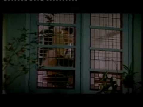 trailer film alexandria