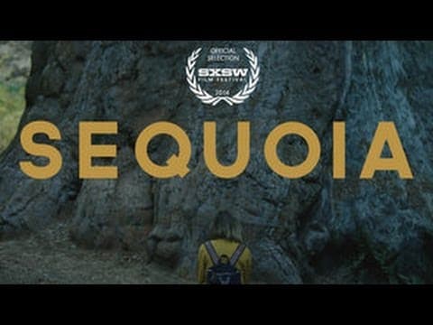 SEQUOIA  - (Aly Michalka) 2014 SXSW OFFICIAL SELECTION FILM TRAILER