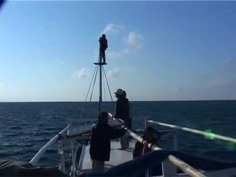 Trailer of Suster Apung (The Floating Nurse)