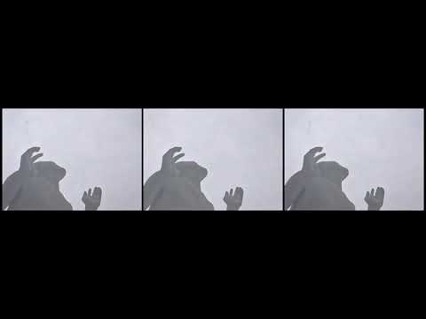 #BIFF2020 Wide Angle - Irradiated / 와이드 앵글 - 피폭의 연대