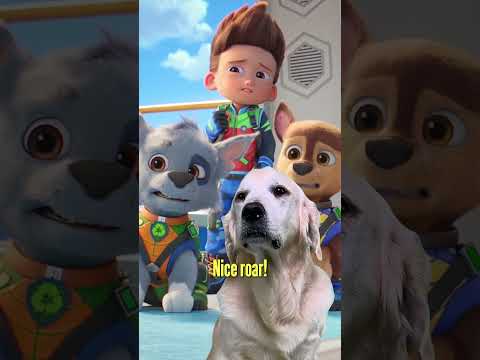 Real Dog Reaction