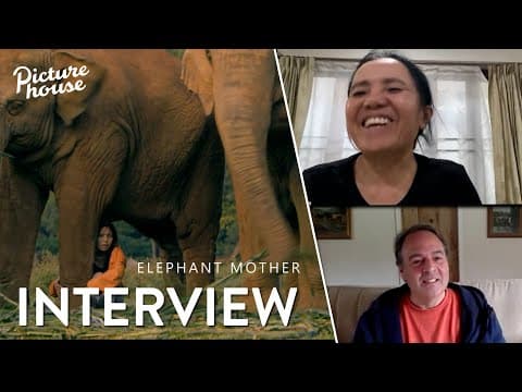 Interview | Green Screen Tour