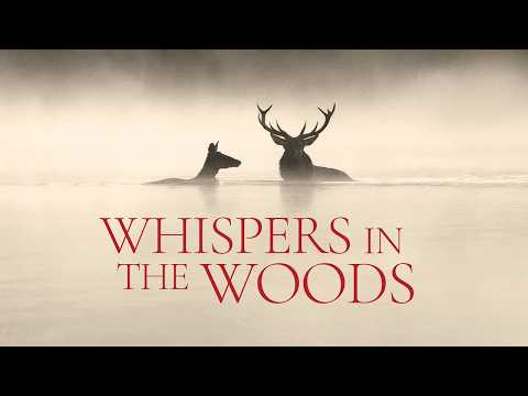 Official Trailer [Subtitled]