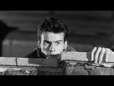 Die Halbstarken (1956) DEUTSCH TRAILER [JD]