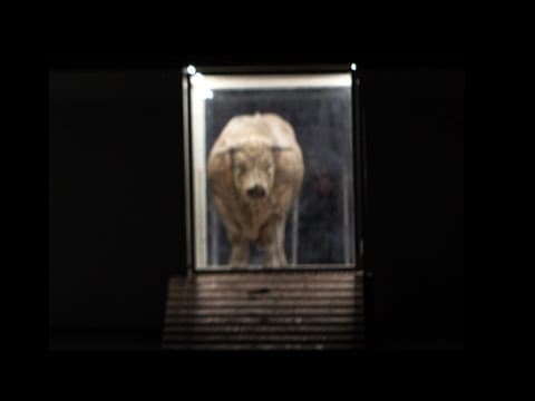 Moses und Aron | Philippe Jordan & Romeo Castellucci | Opéra de Paris 2015 (DVD/Blu-ray trailer)