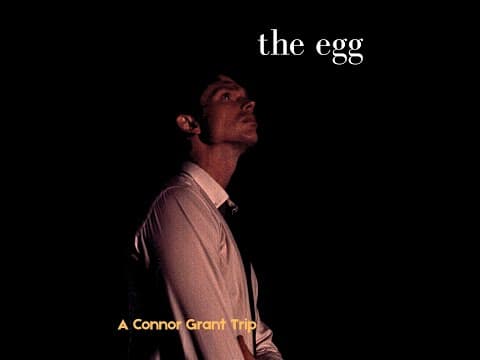 The Egg