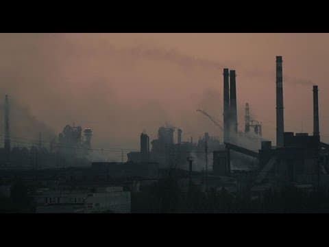 Крокодил Геннадий | Трейлер | Артдокфест-2015 | Конкурс