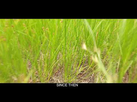 Our War Teaser Trailer