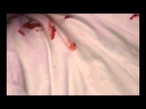 Motel 666 Teaser 5