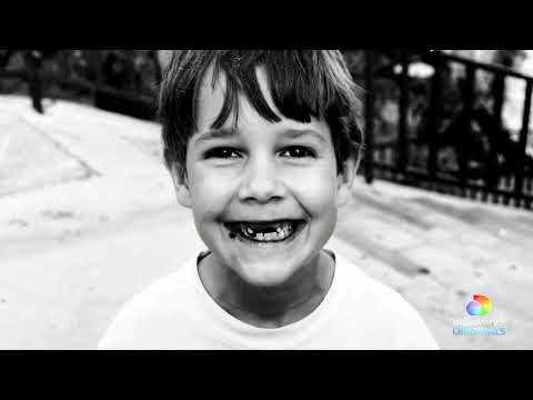 Trailer | Discovering David Dobrik
