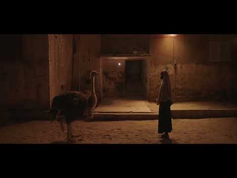 Aisha Can't Fly Away Trailer - African Film Festival Atlanta (AFFATL) 2026