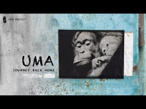 [TEASER] UMA — Journey Back Home
